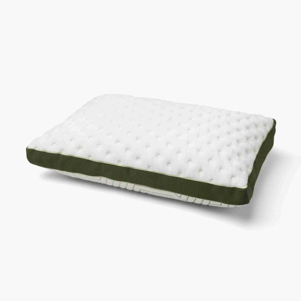 Bamboo Pillow + CBD